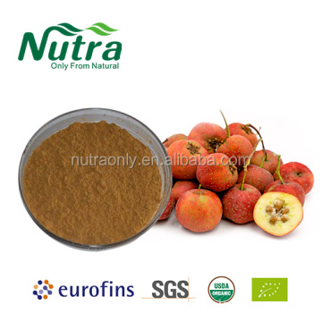 Organic Hawthorn Fruits Extract Powder